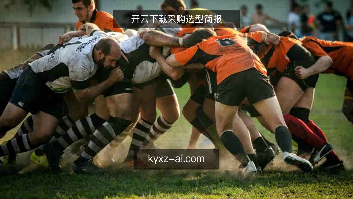 开云下载采购选型简报
