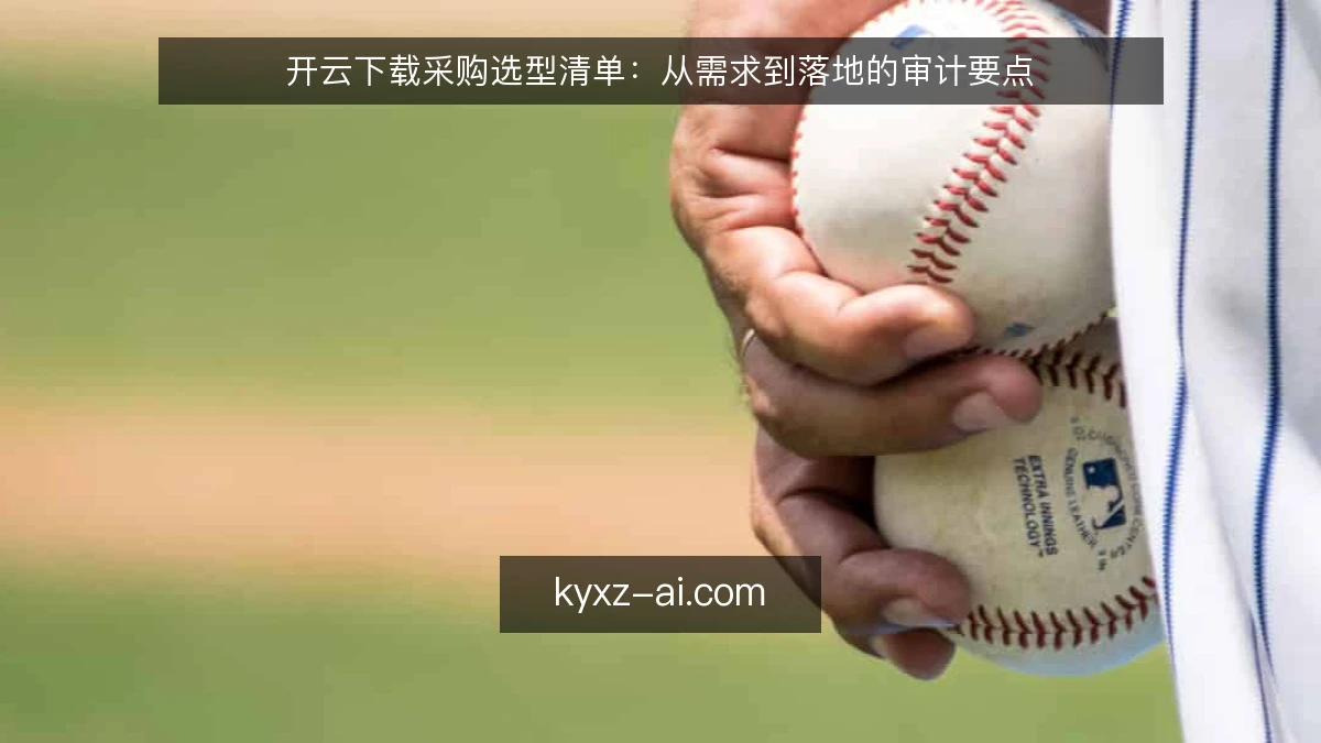 开云下载采购选型清单：从需求到落地的审计要点